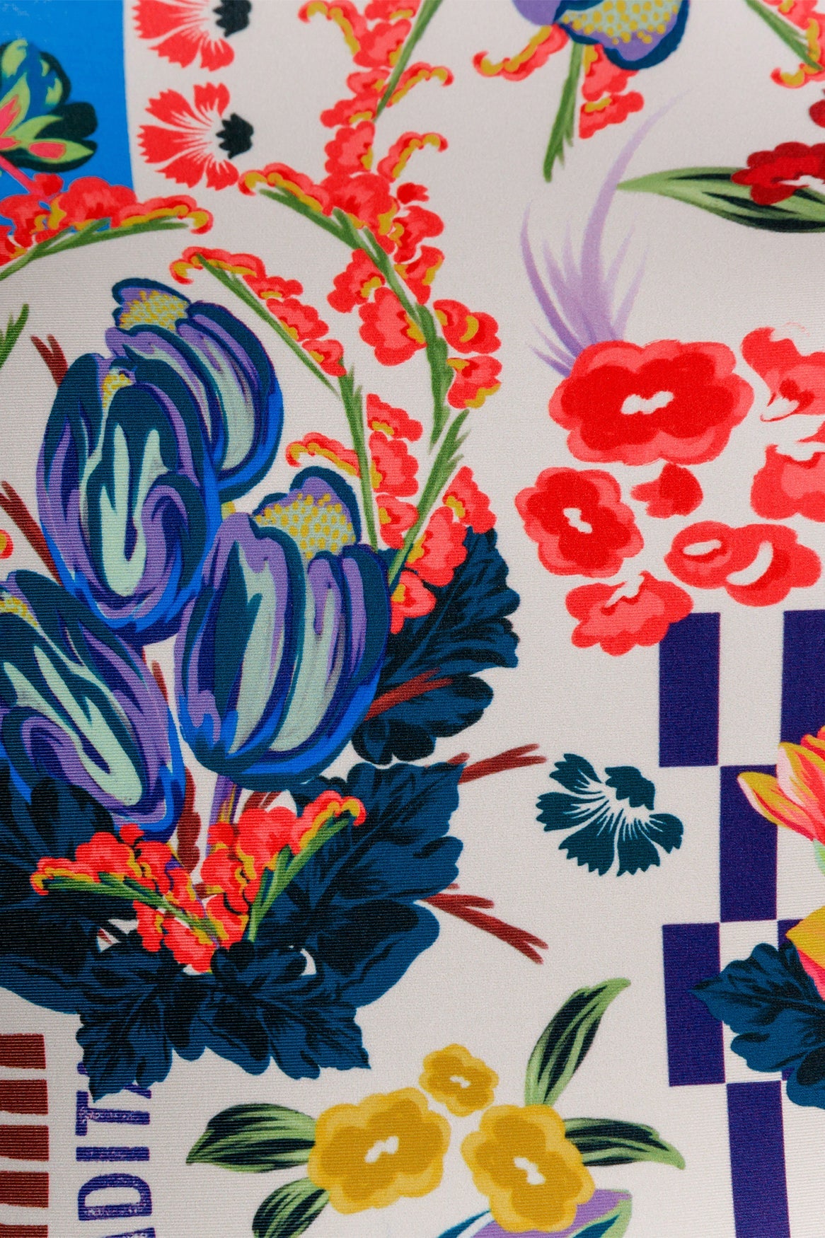 Kali One Piece Swimsuit