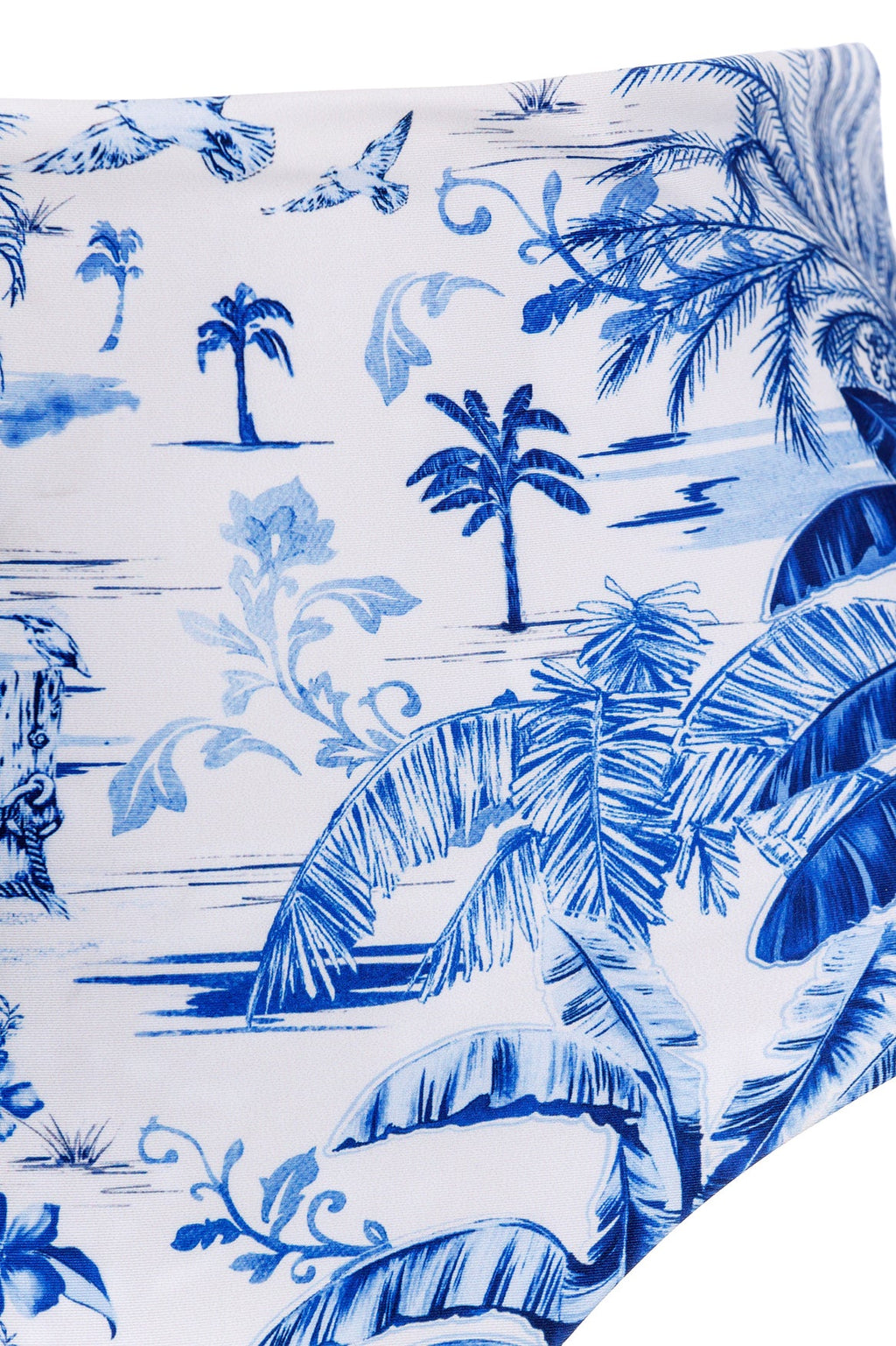 Alicia Bikini Bottom